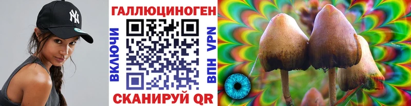 Псилоцибиновые грибы Cubensis  даркнет сайт  Динская 